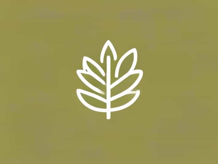 Para Que Sirve El Te De Melisa