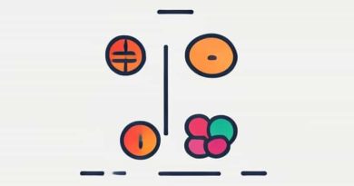 Pros And Cons Of Expansionary Monetary Policy