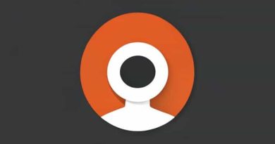 Qui Est La Petite Amie De Norman