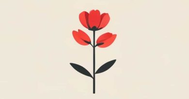 Stream Perks Of Being A Wallflower