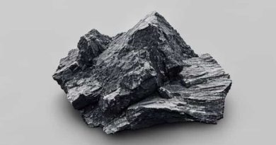 The Largest Producer Of Lignite In India Is