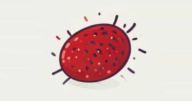 The Process By Which Amoeba Engulf Food
