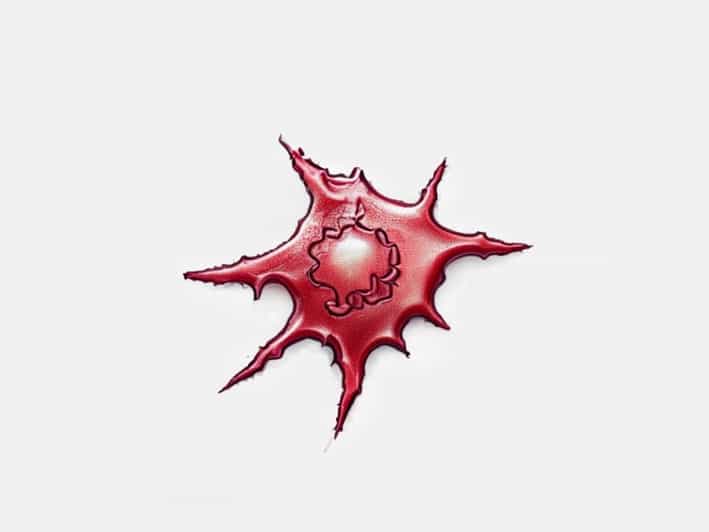 What Does A Scabbed Tattoo Look Like