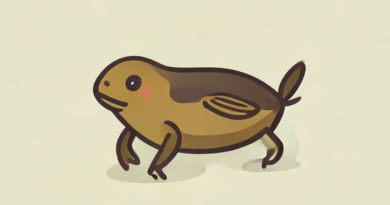 What Is The Definition Of A Polliwog