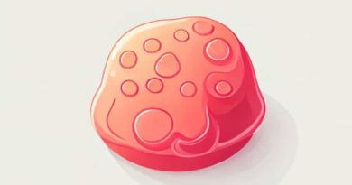 What Is The Function Of Adipose Tissue Quizlet