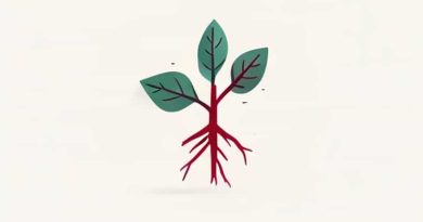 What Is The Root Of Worthlessness