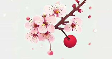 When Is Cherry Blossom Season In Japan