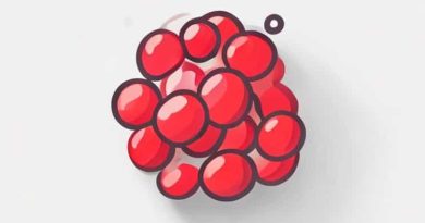 Where Does Exogenous Cholesterol Come From Quizlet