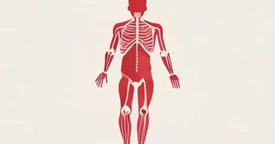 Anatomy And Physiology Of Puerperal Pyrexia