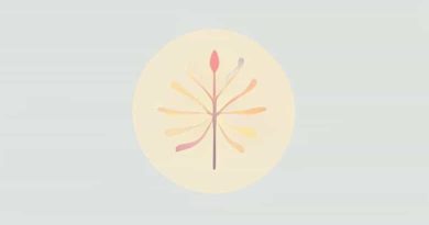 Cell In Quiescent Stage Are Metabolically