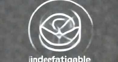 Closest Synonym For The Word Indefatigable