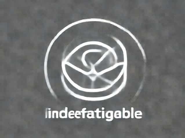 Closest Synonym For The Word Indefatigable