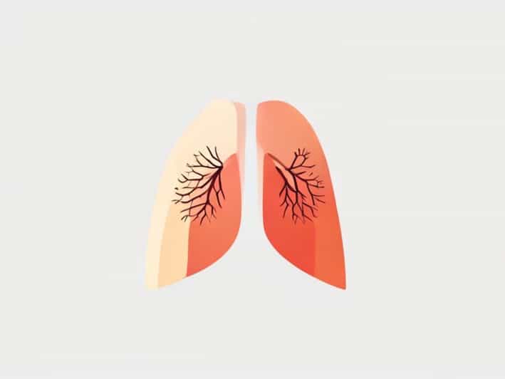 Describe The Pleurae And The Pleural Cavity