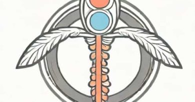 Difference Between Thyroid And Parathyroid