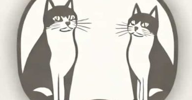 Do Cats Recognize Themselves In The Mirror