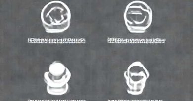 Explain Four Benefits Of Adolescent Chastity