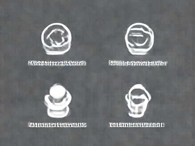 Explain Four Benefits Of Adolescent Chastity