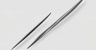 Fimbriae Protrude From The Surface Of Most