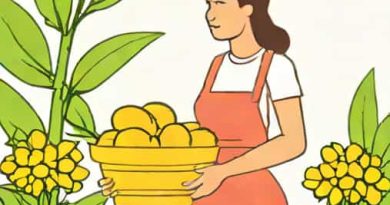 Getting A Sugar Mommy In Cultivation World