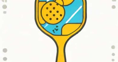 Head Radical Versatility Pickleball Paddle