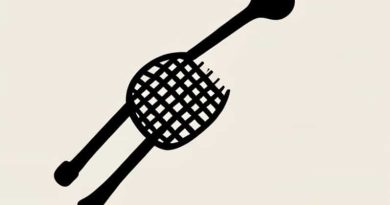 How Did Lacrosse Evolved From The Haphazard