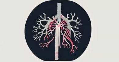 How Does The Autonomic Nervous System Work