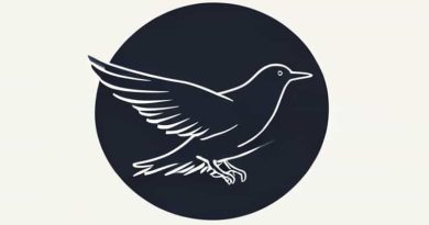 Jason Mason And The Flightless Bird Fiasco