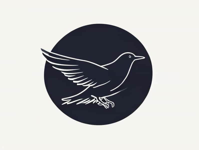 Jason Mason And The Flightless Bird Fiasco