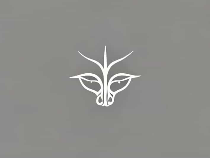 Junction Of Nasal Fossa And Maxillary Sinus