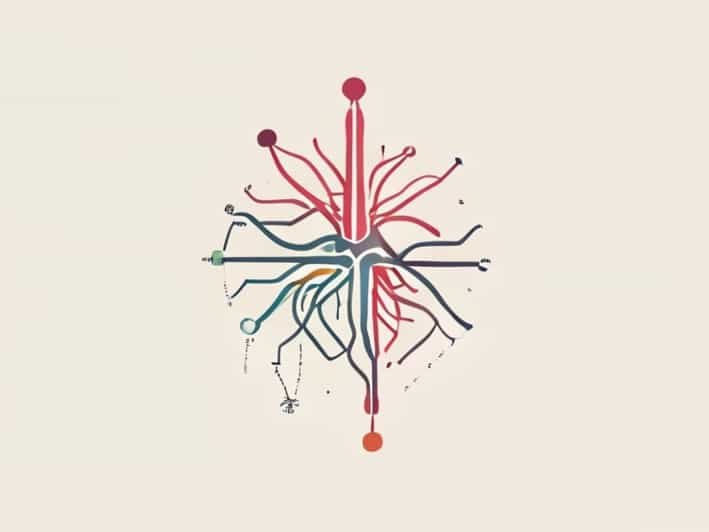 Label The Autonomic Plexuses In The Figure