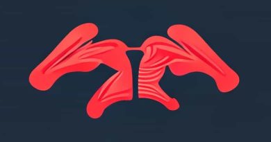 Lactate Buildup In Working Muscles Quizlet