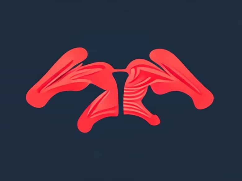 Lactate Buildup In Working Muscles Quizlet