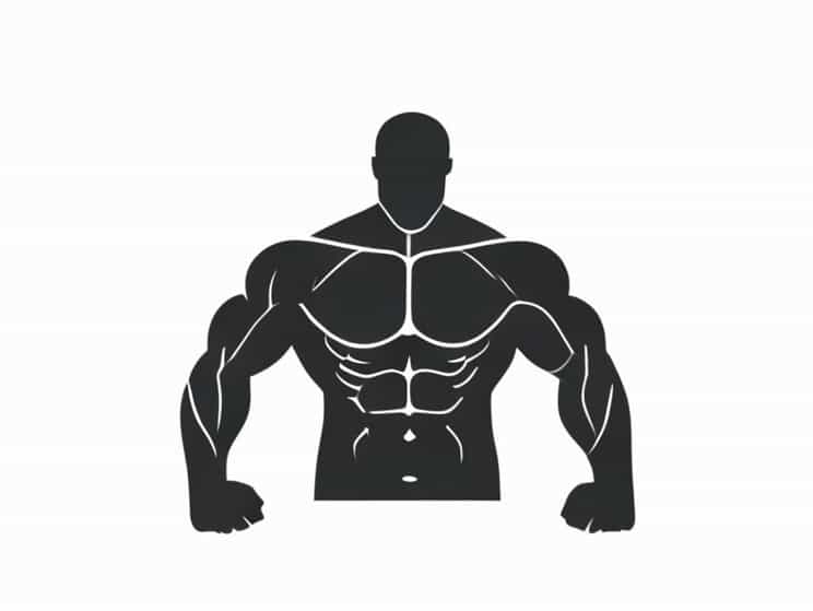 Muscles Weaken With Age A Condition Called