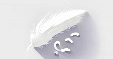 N6 Furfuryl Amino Purine Is A Derivative Of