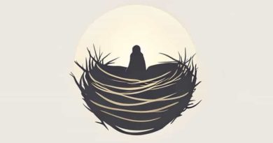 Nestorius Describes The Oneness Of Jesus As