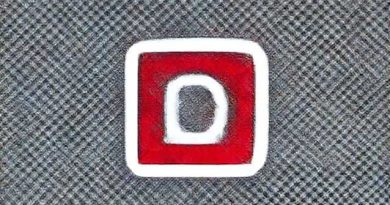 Obtrusively Bright And Showy Lurid. Meaning