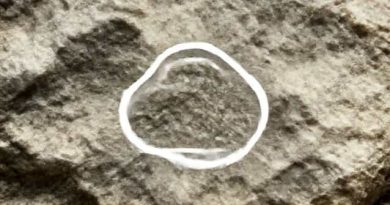 One Example Of Calcareous Sedimentary Rock