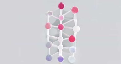One Gene One Enzyme Theory Was Proposed By