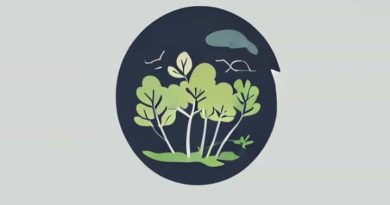 Ozone And How Does It Affect Any Ecosystem