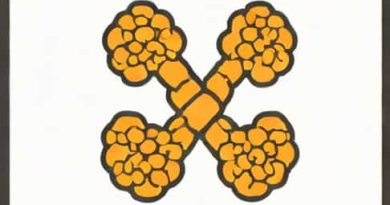 Period Of Communicability Of Genital Warts