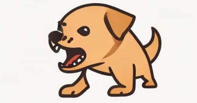 Puppy Snarling And Snapping When Picked Up