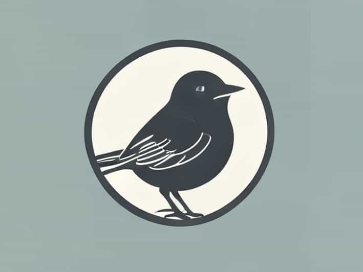 Robin First Man To Circumnavigate The Globe