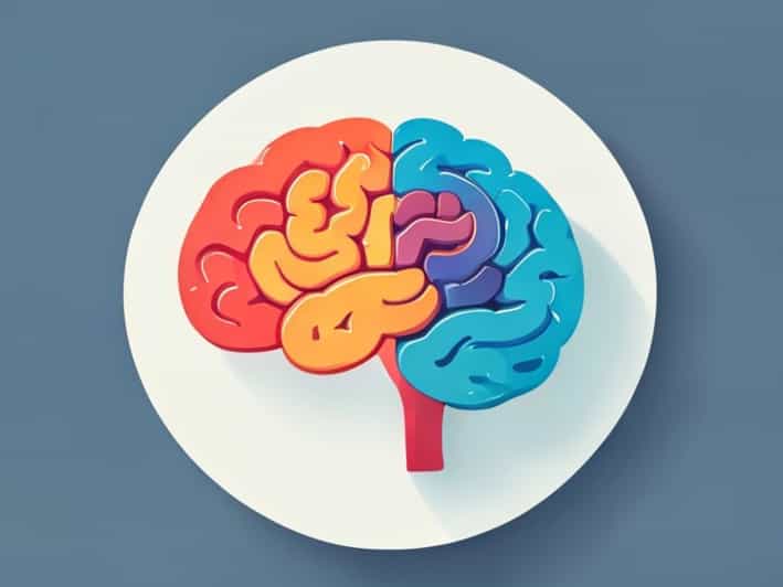 The Sensory And Motor Cortices Are Quizlet