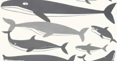 Type Of Baleen Whale Daily Themed Crossword