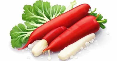 Vegetable Are Blanched Prior To Freezing By