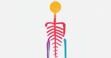 What Does The Long Thoracic Nerve Innervate