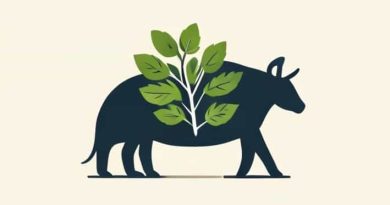 What Is A Herbivore Carnivore And Omnivore