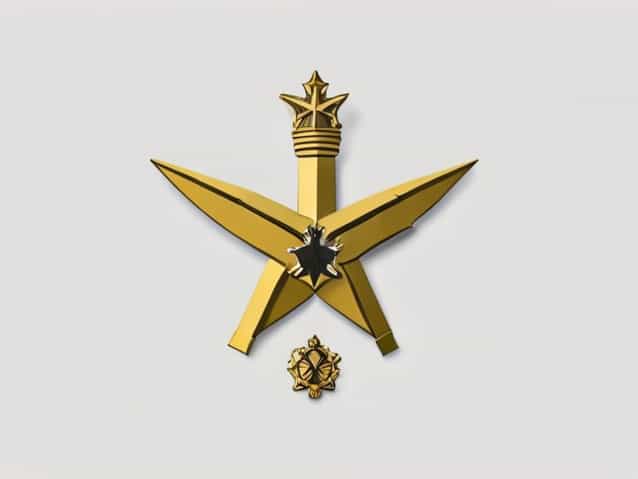 What Is The Armed Forces Expeditionary Medal