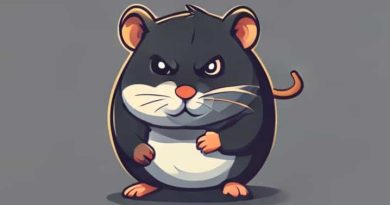 What Is Today Daily Combo On Hamster Kombat