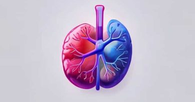 What Organelle Is Metabolically Very Active